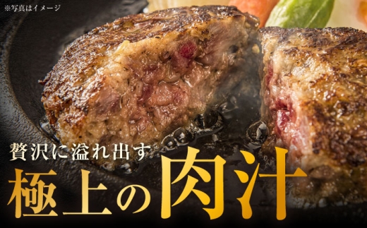 長崎和牛 ハンバーグ 約200g×10個 / 和牛 ハンバーグ はんばーぐ ブランド肉 おかず 惣菜 お弁当 夕食 お肉 冷凍 / 大村市 / まるしん商会[ACCD002]