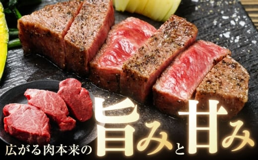 【年内発送】長崎和牛ヒレステーキ 約150×3枚入 計450g / ステーキ すてーき ヒレ ひれ ヒレ ヒレステーキ ヒレ肉 和牛 牛肉 肉 牛 / 大村市 / まるしん商会[ACCD004]