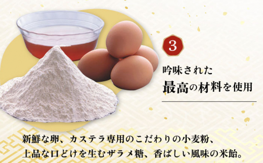 長崎カステラ 2号 （580g 10切）/ かすてら 卵 人気 長崎 おやつ スイーツ / 大村市 / 異人堂[ACBM001]