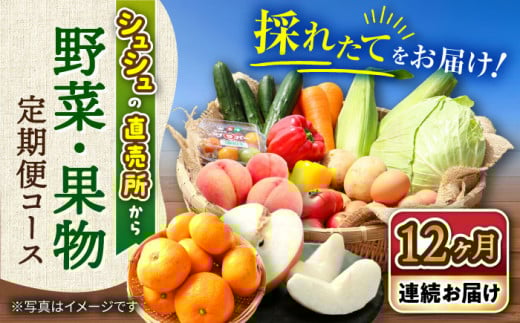 【12回定期便】野菜果物定期便コース / 便利な定期便 バラエティ定期便 フルーツ 定期 野菜セット 野菜 定期便 果物 くだもの フルーツ フルーツ定期便 / 大村市 / おおむら夢ファームシュシュ[ACAA092]