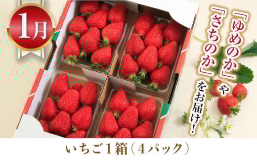 【5回定期便】厳選フルーツ＆旬のお米定期便（ いちご ぶどう 梨 お米 みかん ）/ 果物定期便 果物 お米 米 フルーツ定期便 フルーツ 定期 / 大村市 / おおむら夢ファームシュシュ[ACAA082]