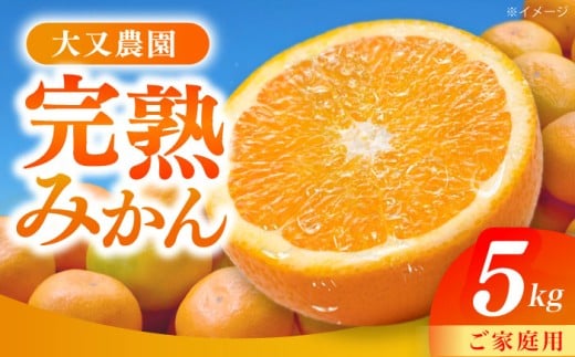 【先行予約・11月以降発送】みかん 5kg 詰合せ 長崎県産 / 柑橘 みかん 蜜柑 / 大村市 大又農園[ACZO001]