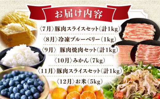 【12回定期便】豚肉＆旬の農産物 ブルーベリーコース（ 豚肉 いちご ハムセット 野菜 果物 ブルーベリー みかん お米 ）/ 便利な定期便 バラエティ定期便 バラエティ / 大村市 / おおむら夢ファームシュシュ[ACAA124]