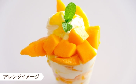 【糖度15度以上】おいしい 訳あり 冷凍大村産カットマンゴー 約600g (300g×2袋) 大村市 県央リサイクル開発/マンゴー 家庭用 訳あり 冷凍フルーツ 冷凍マンゴー カットマンゴー [ACBC002]