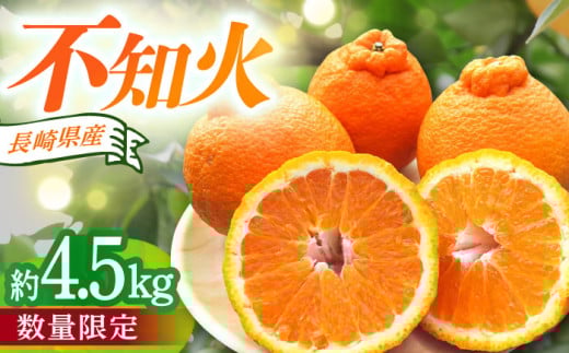【2025年4月中旬発送開始】長崎県産 不知火 約4.5kg / 不知火 5月発送 不知火 果物 フルーツ 柑橘 デコポン でこぽん 家庭用 柑橘 みかん 産地直送 旬 / 大村市 / かとりストアー[ACAN005]