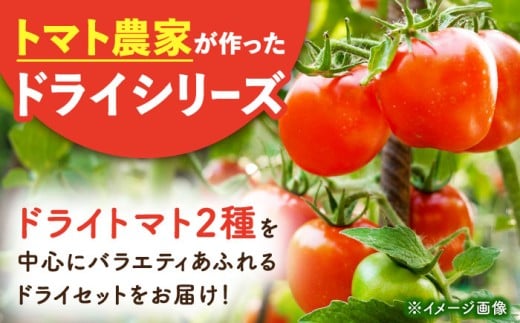 DRY BAR ドライバー Aセット 9種類 ドライフルーツ / ドライフルーツ お菓子 菓子 間食 おやつ / 大村市 / ファームいまみっちゃん[ACYL001]