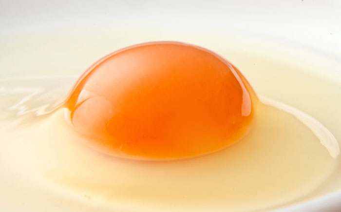 長崎 カステラぷりん　【ギフトdeぷりん】　12個入 [ACYF001]