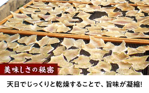 長崎県産えいひれ 1kg / えいひれ エイヒレ 国産 おつまみ / 大村市 / 株式会社ナガスイ [ACYQ052]