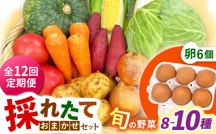 【全12回定期便】採れたてお野菜おまかせ（8～10種）・卵6個セット/ 野菜 やさい 野菜セット 野菜詰め合わせ 詰め合わせ セット たまご 卵 タマゴ 紅たまご こだまさんち / 大村市 / かとりストアー [ACAN138]