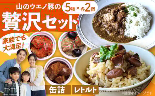 山のウエノ豚のご馳走レトルト・缶詰セット 5種×各2個（計1.46kg）/ おつまみ レトルトカレー 炊き込みご飯 / 大村市 / 株式会社上野養豚 [ACBH004]