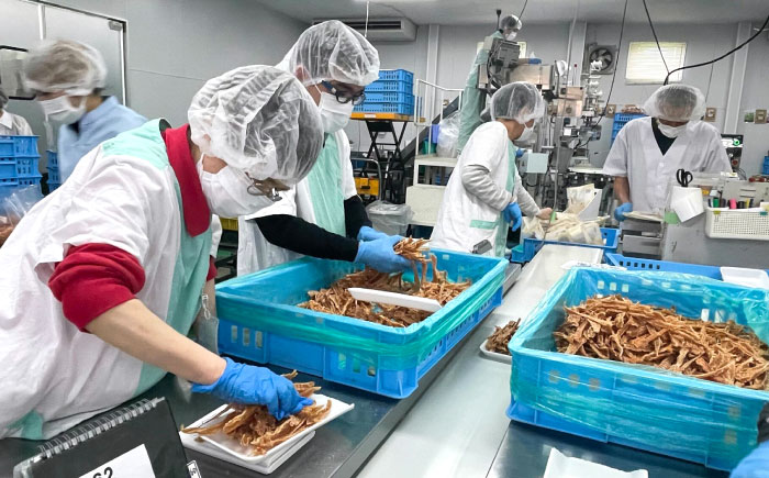 【全3回定期便】Softbits ドッグフード 馬（40g×6P）/ ドッグフード 犬 いぬ ドッグ おやつ ペットフード / 大村市 / サポート [ACAM037]