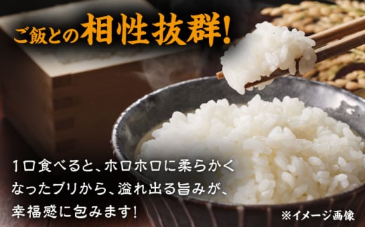 長崎県産ブリ切身 塩麹漬け 小分け 計16切れ （2切れ×8パック）/ ブリ ぶり 鰤 魚 切り身 切身 小分け 冷凍 小分けパック 簡単調理 長崎県産 魚 焼くだけ 和食  西京漬け 塩こうじ 塩麹 / 大村市 / かとりストアー[ACAN040]