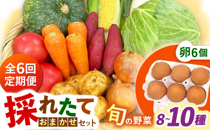 【全6回定期便】採れたてお野菜おまかせ（8～10種）・卵6個セット/ 野菜 やさい 野菜セット 野菜詰め合わせ 詰め合わせ セット たまご 卵 タマゴ 紅たまご こだまさんち / 大村市 / かとりストアー [ACAN137]
