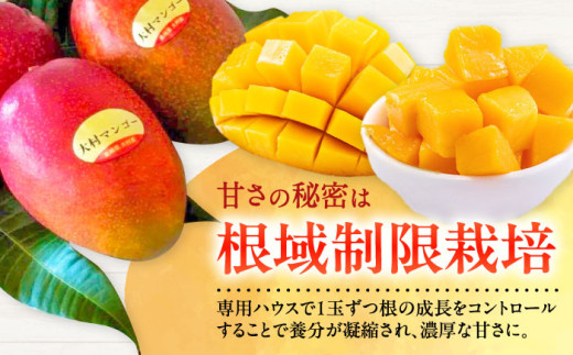 【2026年7月下旬から順次発送】 大村マンゴー 約800g (2L×2個) / 先行予約 マンゴー アップルマンゴー まんごー フルーツ トロピカルフルーツ 甘い 期間限定 国産 冷蔵配送  / 大村市 / 県央リサイクル開発[ACBC001]