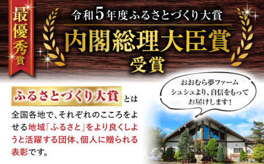 【6回定期便】野菜・果物の詰合せと極みドレッシング200ml×2本 / 野菜 やさい 果物 くだもの フルーツ ふるーつ ドレッシング  / 大村市 / おおむら夢ファームシュシュ [ACAA214]