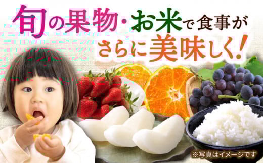【5回定期便】厳選フルーツ＆旬のお米定期便（ いちご ぶどう 梨 お米 みかん ）/ 果物定期便 果物 お米 米 フルーツ定期便 フルーツ 定期 / 大村市 / おおむら夢ファームシュシュ[ACAA082]