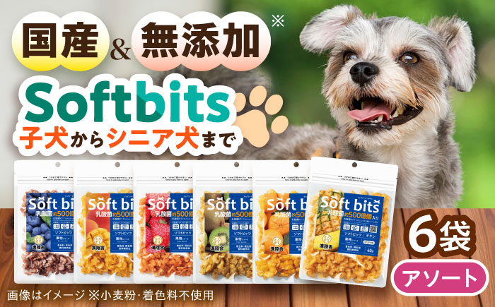 Softbits ドッグフード アソート果物 （40g×6P）/ ドッグフード 犬 いぬ ドッグ おやつ ペットフード / 大村市 / サポート [ACAM004]