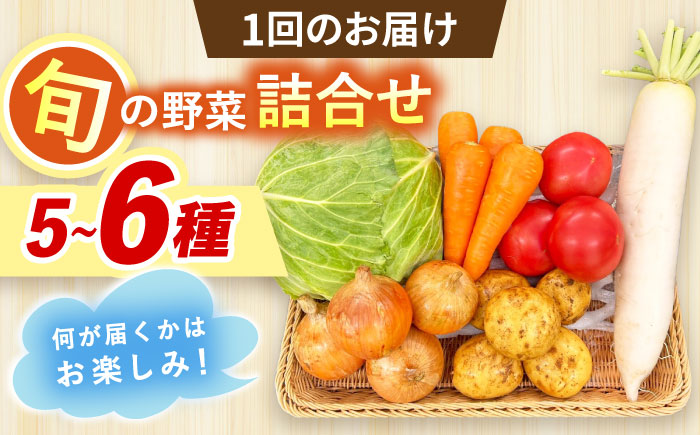 【全12回定期便】採れたてお野菜おまかせセット（5〜6種）/ 野菜 やさい 野菜セット 野菜詰め合わせ 詰め合わせ セット / 大村市 / かとりストアー [ACAN128]