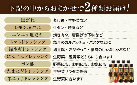【9回定期便】野菜・果物の詰合せと極みドレッシング200ml×2本 / 野菜 やさい 果物 くだもの フルーツ ふるーつ ドレッシング  / 大村市 / おおむら夢ファームシュシュ [ACAA215]