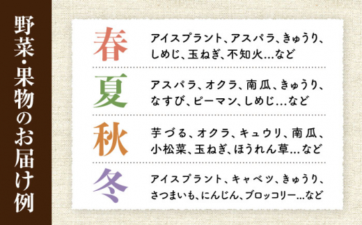 【6回定期便】野菜・果物の詰合せと極みドレッシング200ml×2本 / 野菜 やさい 果物 くだもの フルーツ ふるーつ ドレッシング  / 大村市 / おおむら夢ファームシュシュ [ACAA214]