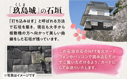 玖島城石垣の石 NFT 大村市 大村市役所商工観光部ふるさと物産振興課[ACBI002]