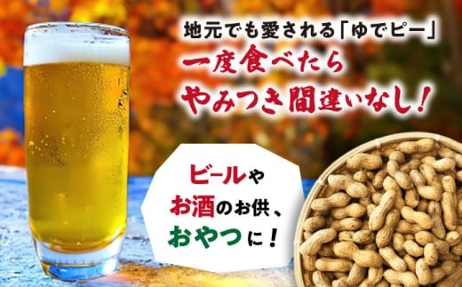 【冷凍保存3か月可】塩ゆで落花生 合計750g（250g×3袋） / ゆでぴー 落花生 ピーナッツ ナッツ おつまみ おやつ / 大村市 / 浦川豆店[ACZR001]