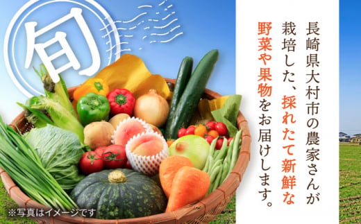 【6回定期便】シュシュの直売所から野菜・果物定期便コース / 便利な定期便 バラエティ定期便 野菜 やさい 定期便 果物 くだもの フルーツ ふるーつ 産地直送 フルーツ定期便 / 大村市 / おおむら夢ファームシュシュ[ACAA165]