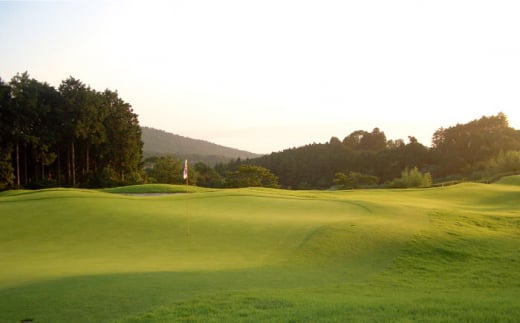 【 ニューコース 】 平日 ゴルフ プレー券 ( 1名様分 ) / 平日 カントリー スポーツ 1名様 長崎 / 大村市 / 大村湾カントリー倶楽部[ACAY002]