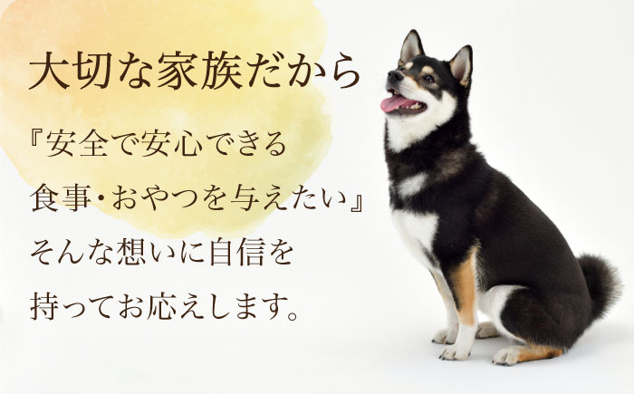 Softbits ドッグフード かぼちゃ（40g×6P）/ ドッグフード 犬 いぬ ドッグ おやつ ペットフード / 大村市 / サポート [ACAM018]