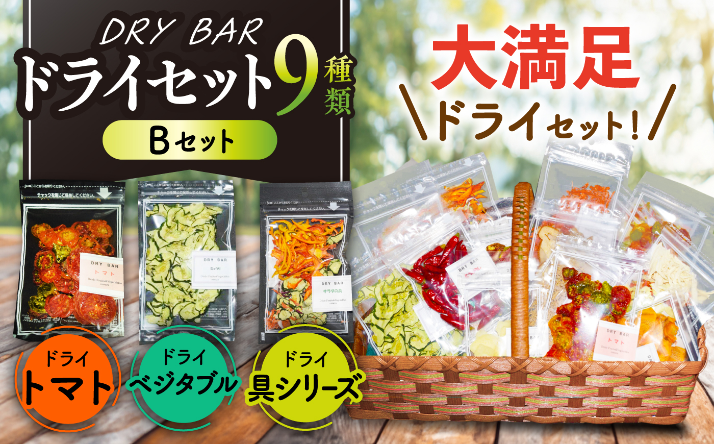 DRY BAR ドライバー Bセット 9種類 乾燥野菜 / ドライフルーツ お菓子 菓子 間食 おやつ / 大村市 / ファームいまみっちゃん[ACYL002]