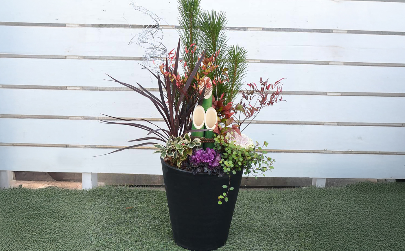 【先行予約】お正月寄せ植え 大村市 アトリウム琴花園/縁起物 年末年始 お正月飾り 門松 お正月 記念 お祝い インテリア [ACZZ013]