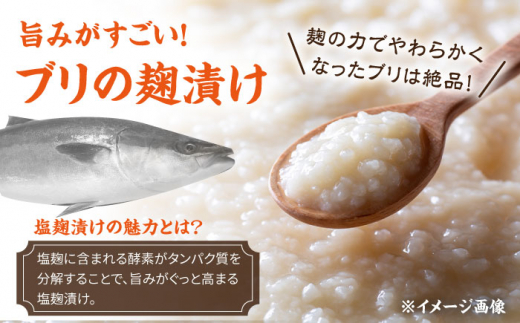 長崎県産ブリ切身 塩麹漬け 小分け 計16切れ （2切れ×8パック）/ ブリ ぶり 鰤 魚 切り身 切身 小分け 冷凍 小分けパック 簡単調理 長崎県産 魚 焼くだけ 和食  西京漬け 塩こうじ 塩麹 / 大村市 / かとりストアー[ACAN040]