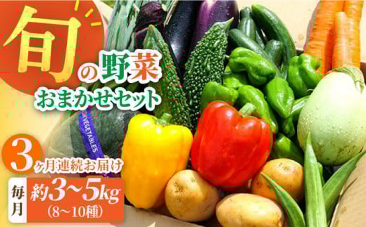 【全3回定期便】大村産とれたてお野菜おまかせセット(8〜10種)   / 季節 旬 春野菜 夏野菜 秋野菜 / 大村市 / かとりストアー[ACAN058]
