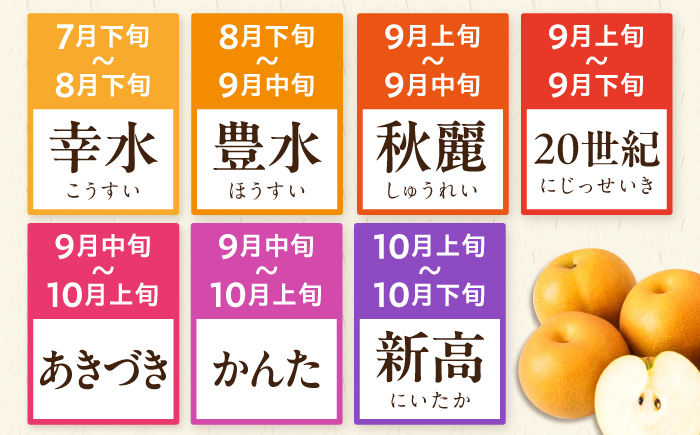 長崎県産 朝採り旬の梨 約2.5kg 6玉 大村市 産直松吉/梨 なし 幸水 豊水 秋麗 あきづき 新高 20世紀 二十世紀 かんた [ACZC011]