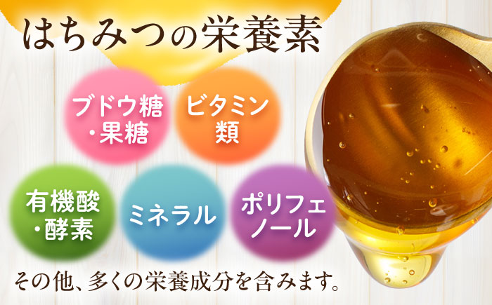 森のはちみつ 百花蜜 600g 蜂蜜 ハチミツ 大村市 三浦かんさく市 [ACAE006]