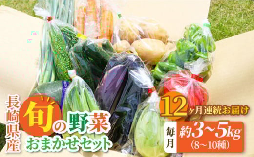 【全12回定期便】大村産とれたてお野菜おまかせセット(8〜10種)   / 季節 旬 春野菜 夏野菜 秋野菜 / 大村市 / かとりストアー[ACAN060]