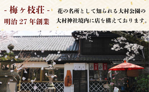 【到着日指定必須】大村寿し 4角(1人前)×1折 ・ 大村寿し穴子入り 4角×1折 セット 郷土寿し 寿司 郷土料理 長崎県 / 大村市 / 有限会社梅ヶ枝荘[ACZS004]