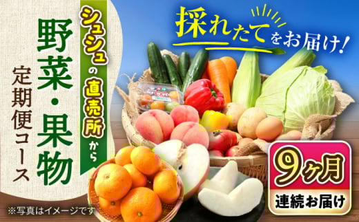 【9回定期便】シュシュの直売所から野菜・果物定期便コース / 野菜 やさい 果物 くだもの フルーツ ふるーつ 産地直送 フルーツ定期便 / 大村市 / おおむら夢ファームシュシュ[ACAA166]