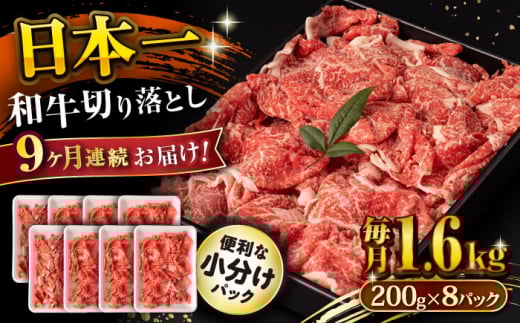 【9回定期便】長崎和牛 切り落とし 1.6kg/月（総計14.4kg） / 牛肉 切り落とし 切りおとし きりおとし すき焼き 小分け / 大村市 / おおむら夢ファームシュシュ [ACAA244]