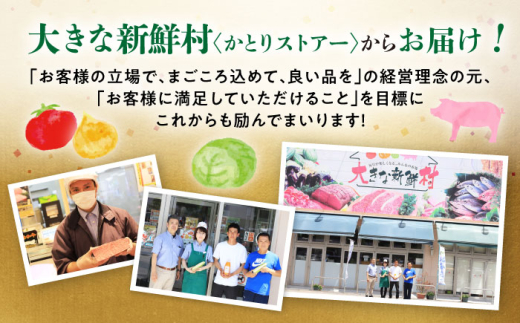 【12回定期便】長崎和牛プルコギ切り落とし2kg 500g×4パック 冷凍真空パック / 牛肉 プルコギ 味付け済み 小分け 真空パック / 大村市 / かとりストアー [ACAN101]