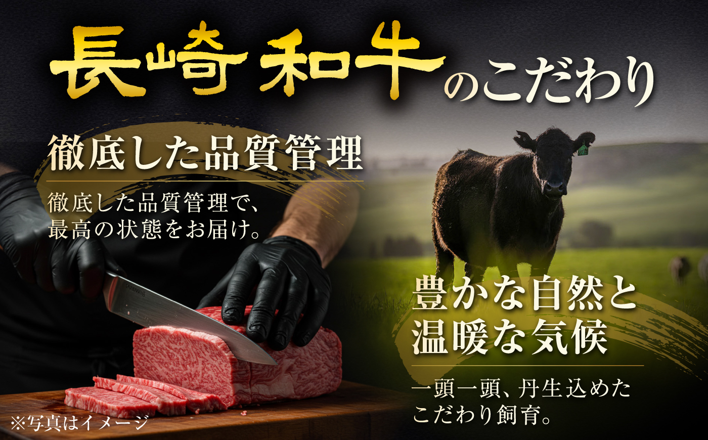 【12回定期便】長崎和牛シャトーブリアンステーキ 約100g×4枚/回  / 定期便 ステーキ すてーき シャトーブリアン 牛 ブランド牛 牛肉 和牛 肉 にく 国産  / 大村市 / まるしん商会 [ACCD046]