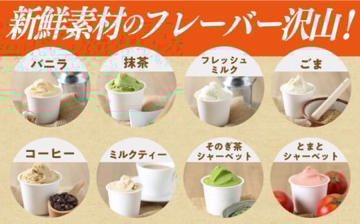 シュシュの季節のジェラート8個セット / アイス あいす アイスクリーム あいすくりーむ ジェラート じぇらーと スイーツ すいーつ / 大村市 / おおむら夢ファームシュシュ[ACAA010]