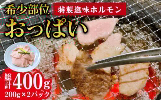 【希少部位おっぱい】特製塩味ホルモン  計400g（200g×2P）/ ホルモン ほるもん 塩ホルモン 豚ホルモン 希少部位 国産 豚 胃袋 焼肉 塩味 BBQ / 大村市 / 塩ホルモンろくめい[ACAO003]