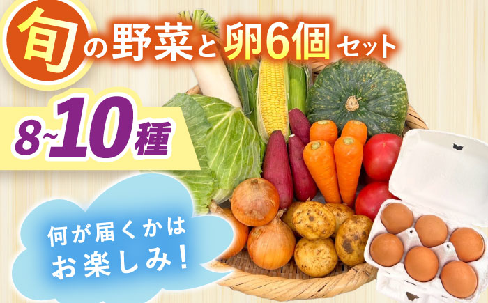 採れたてお野菜おまかせ（8〜10種）・卵6個セット/ 野菜 やさい 野菜セット 野菜詰め合わせ 詰め合わせ セット たまご 卵 タマゴ 紅たまご こだまさんち / 大村市 / かとりストアー [ACAN107]