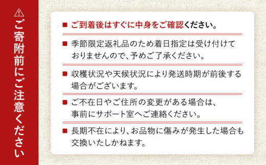 【2026年7月下旬から順次発送】 大村マンゴー 約800g (2L×2個) / 先行予約 マンゴー アップルマンゴー まんごー フルーツ トロピカルフルーツ 甘い 期間限定 国産 冷蔵配送  / 大村市 / 県央リサイクル開発[ACBC001]