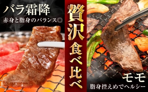 長崎和牛モモ＆バラ霜降り焼肉用 約1kg（約500g×2P）/ 牛肉 モモ もも モモ肉 もも肉 バラ ばら バラ肉 ばら肉 霜降り 霜降 焼肉 小分け 牛 ブランド牛 和牛 / 大村市 / まるしん商会[ACCD020]