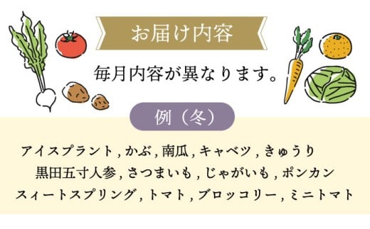 【6回定期便】シュシュの直売所から野菜・果物定期便コース / 便利な定期便 バラエティ定期便 野菜 やさい 定期便 果物 くだもの フルーツ ふるーつ 産地直送 フルーツ定期便 / 大村市 / おおむら夢ファームシュシュ[ACAA165]