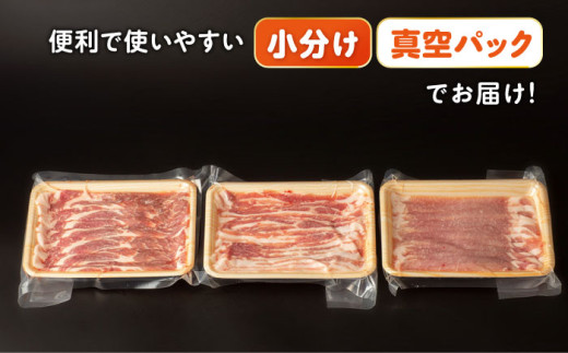 【12回定期便】ナルちゃんファーム豚肉スライスセット 毎月1kg / 豚肉 豚ロース モモ バラ スライス / おおむら夢ファームシュシュ [ACAA338]