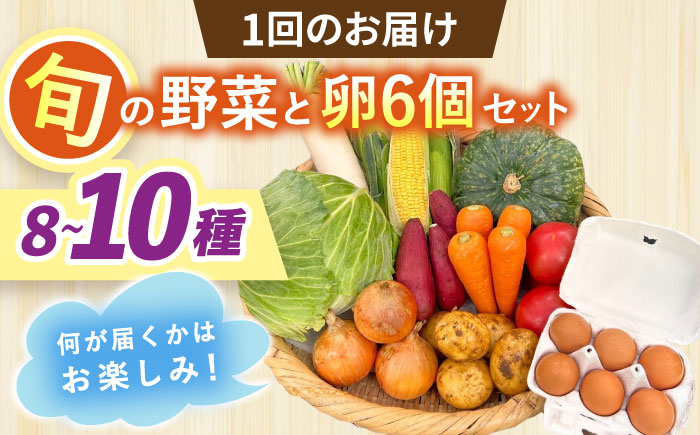 【全6回定期便】採れたてお野菜おまかせ（8〜10種）・卵6個セット/ 野菜 やさい 野菜セット 野菜詰め合わせ 詰め合わせ セット たまご 卵 タマゴ 紅たまご こだまさんち / 大村市 / かとりストアー [ACAN137]