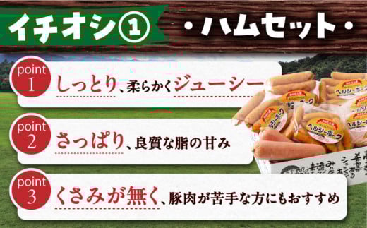 【12回定期便】ビジネスクラス定期便（ ジュース ハンバーグ ハムセット ジェラート プリン ジュレ 長崎和牛 豚肉 ）/ 便利な定期便 バラエティ定期便 バラエティ/ 大村市 おおむら夢ファームシュシュ[ACAA098]